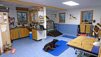 Hunde-Reha & Physiotherapie - Praxis